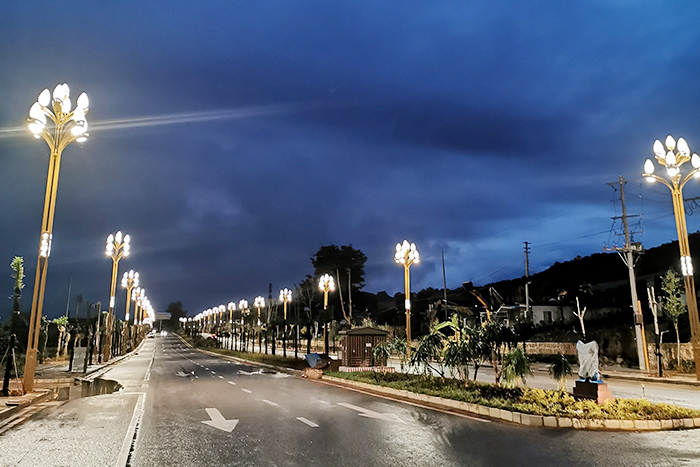 Golden Nayun Vitality Portus